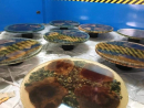 puno-drvo-epoksi-043