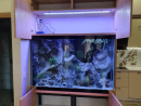 0088